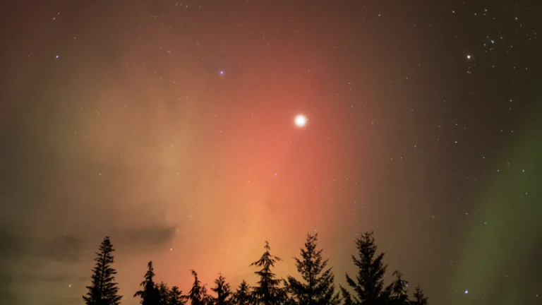 Northern Lights Tonight: Complete Aurora Borealis Viewing Guide